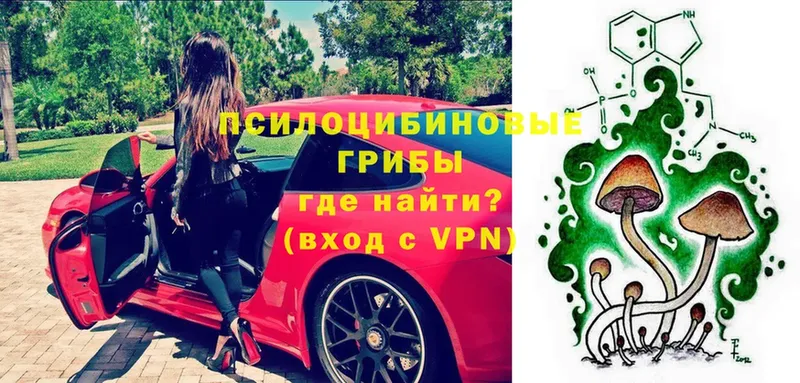 где купить наркотик  Мосальск  OMG tor  Галлюциногенные грибы мухоморы 